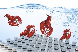 生蠔如何快速清洗？超聲波清洗機讓生蠔小龍蝦田螺大閘蟹更美味